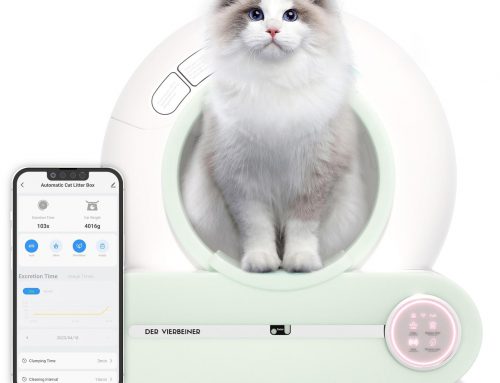 Best Self-Cleaning Cat Litter Box To Get To Make Your Life Easier!